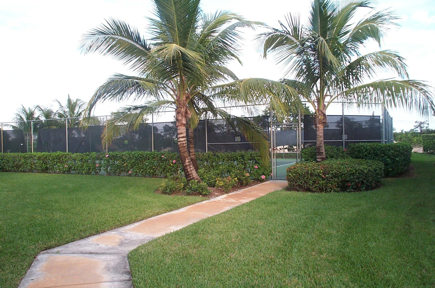 Cypress Cay Tennis courts